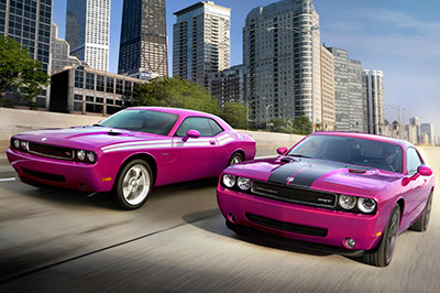 Panther pink Charger & Challenger