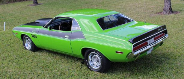 Sassy Grass Challenger T/A