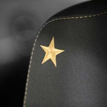 bronze embroidered star on the driver seat