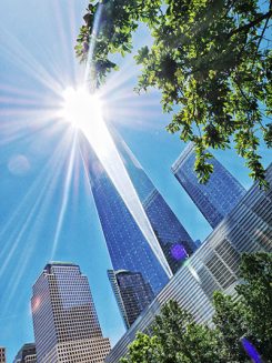 the sun reflecting off a tall building