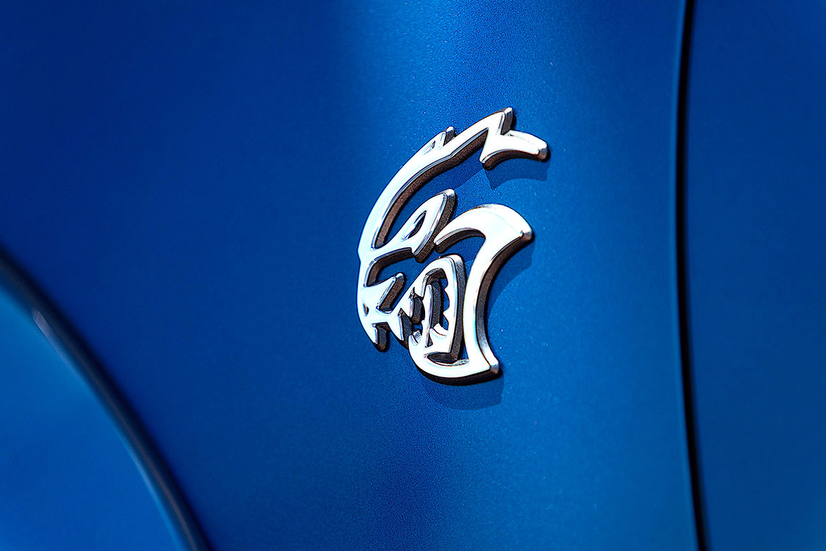 2020 Charger Hellcat Widebody decal