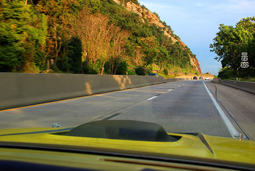 road lined with trees