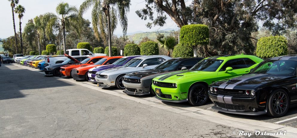 vehicles on display