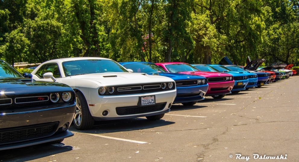 vehicles on display