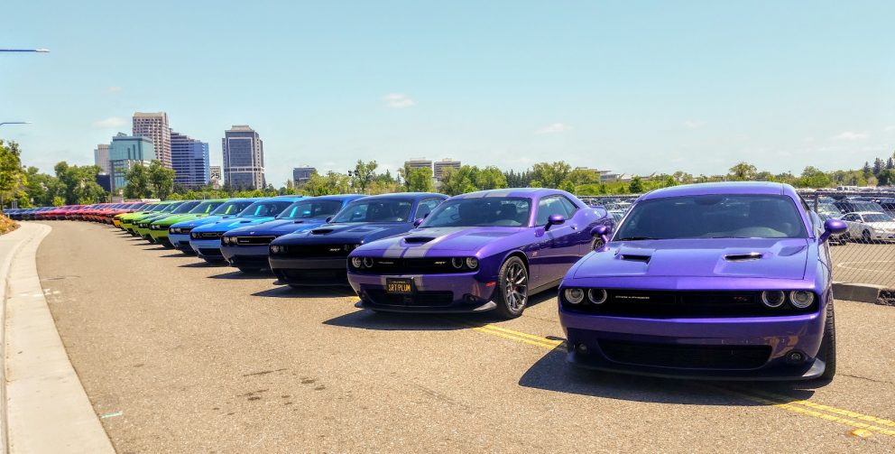 vehicles on display