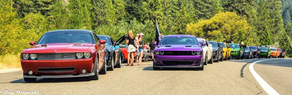 vehicles on display