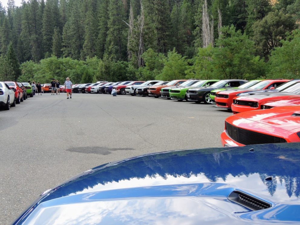 vehicles on display