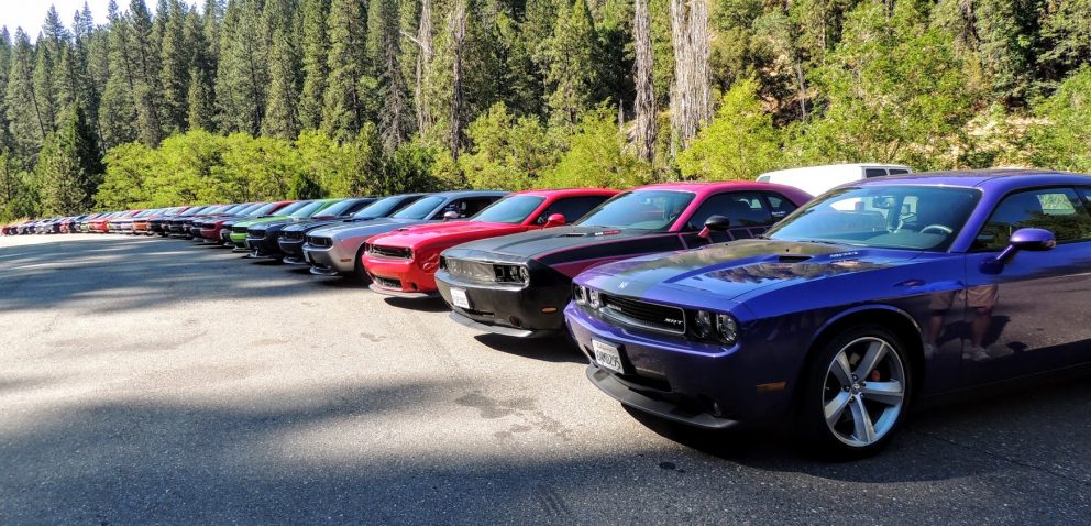 vehicles on display