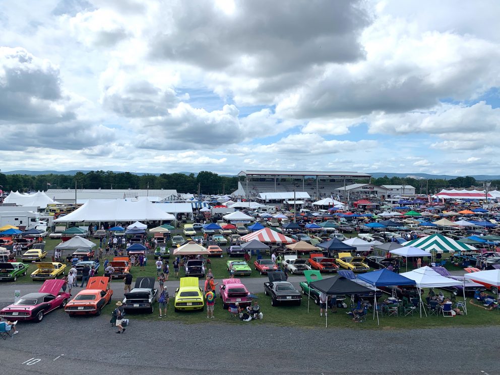 Full lot of vehicles on display