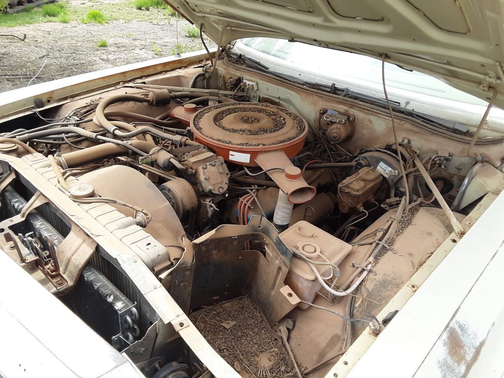 1974 Plymouth Gran Fury III Police Pursuit engine