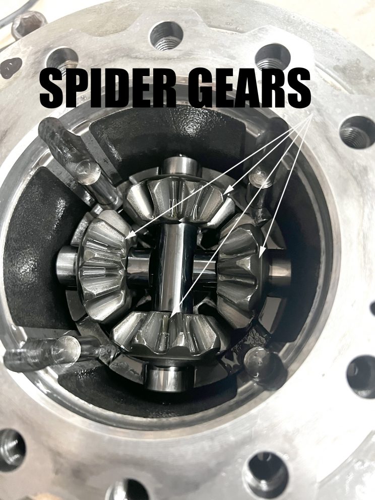 spider gears