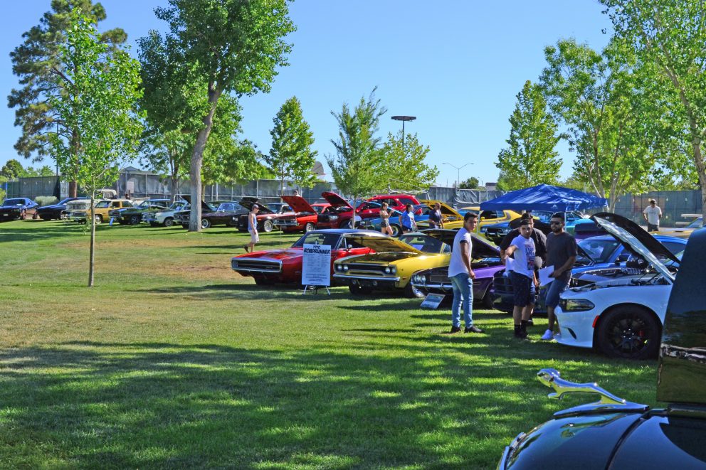 line of cars at car show