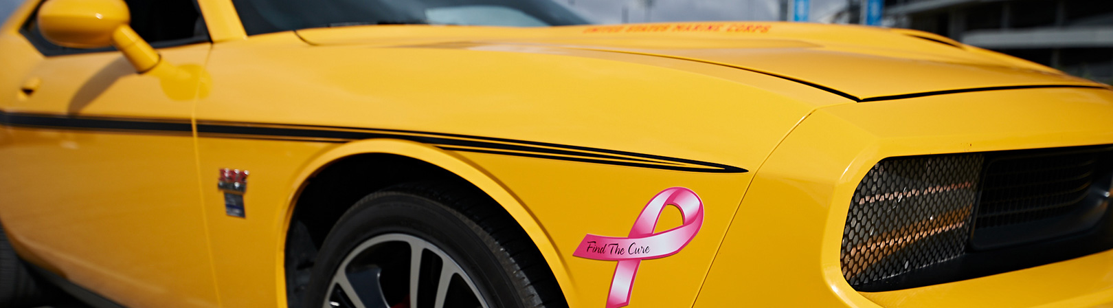 2nd Annual Cars for Cancer Cure Car Show