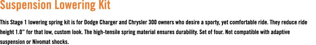 Suspension Lowering Kit This Stage 1 lowering spring kit is for Dodge Charger and Chrysler 300 owners who desire a sp...