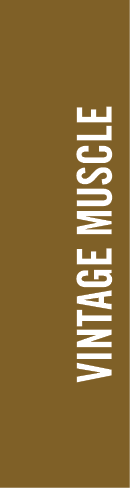 VINTAGE MUSCLE