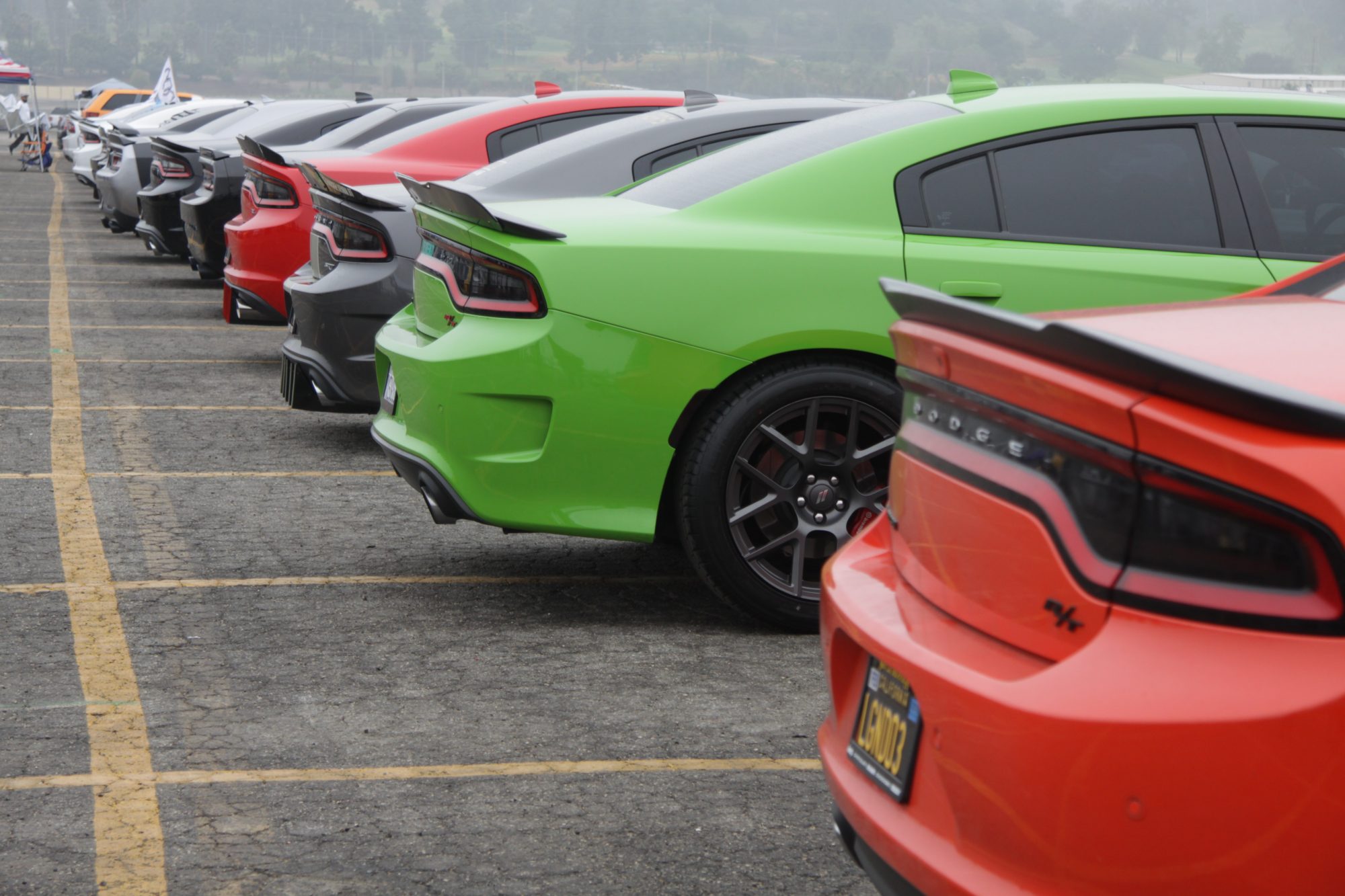 Dodge chargers lined up