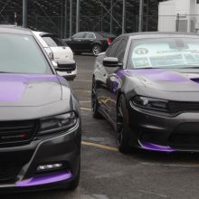 Two Dodge chargers