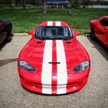 Red viper with white stripes