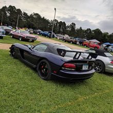 old viper