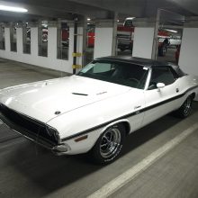 Another well-executed HEMI clone, this 1970 Challenger convertible (Lot 710) was also born a G-code 318 2-barrel car. With over $125,000 in receipts, it sold for $71,500. The nearly $30,000 discrepancy with Lot 668 (above) is likely attributed to its smaller 426 cubic inch Mopar Performance crate HEMI, non-overdrive 4-speed transmission, stock-type wheels, non-Shaker hood and less exciting color scheme. Regardless, clone cars don’t know they’re clones. This sharp HEMI ragtop surely delivers the same thrills as a legit R-code – at a fraction of the price.