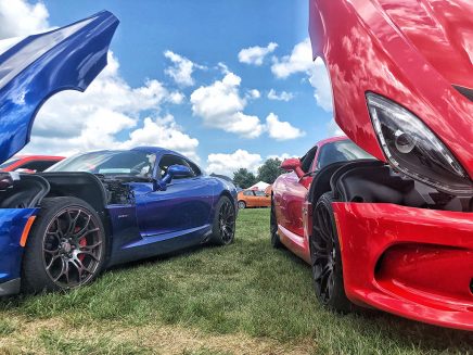 Blue and Red vipers