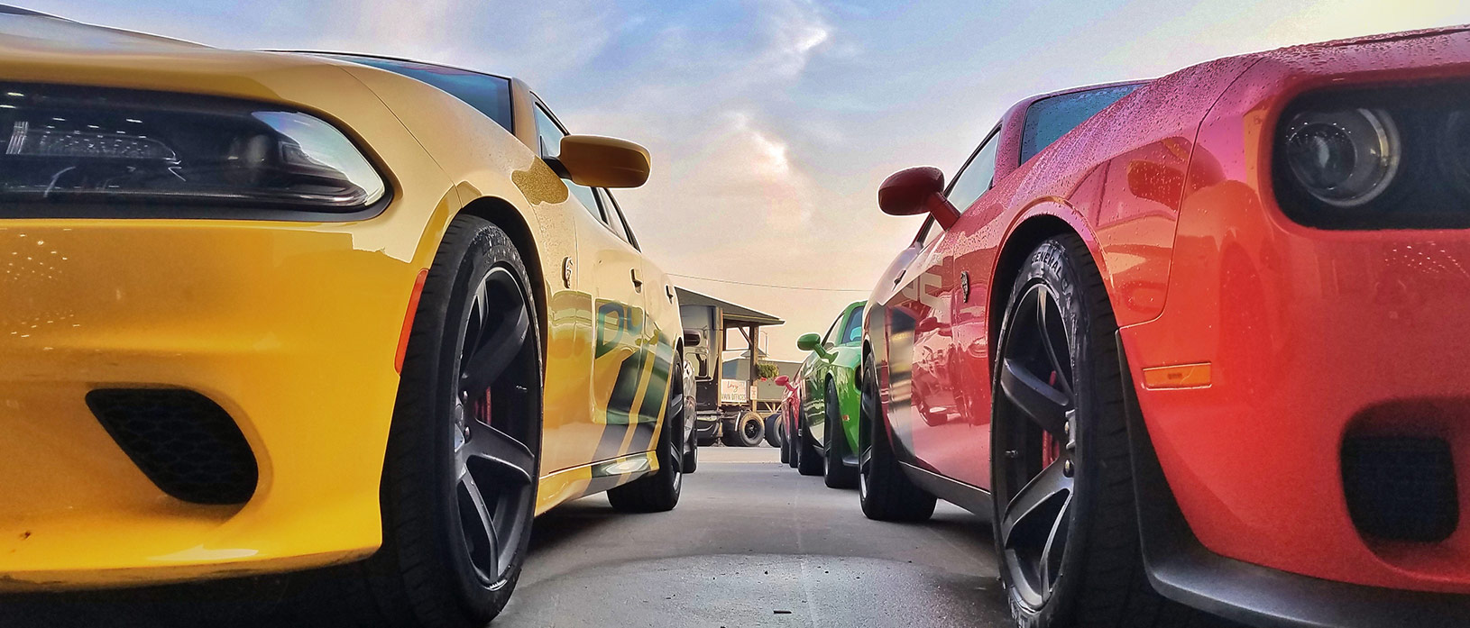 Line of Dodge Challengers and Chargers at Bondurant Racing School