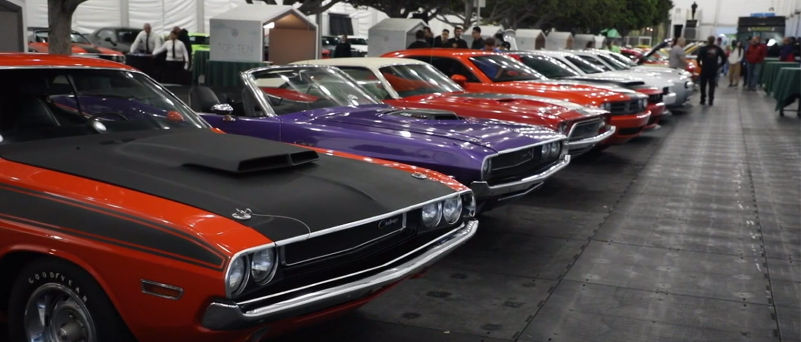 rows of dodge cars