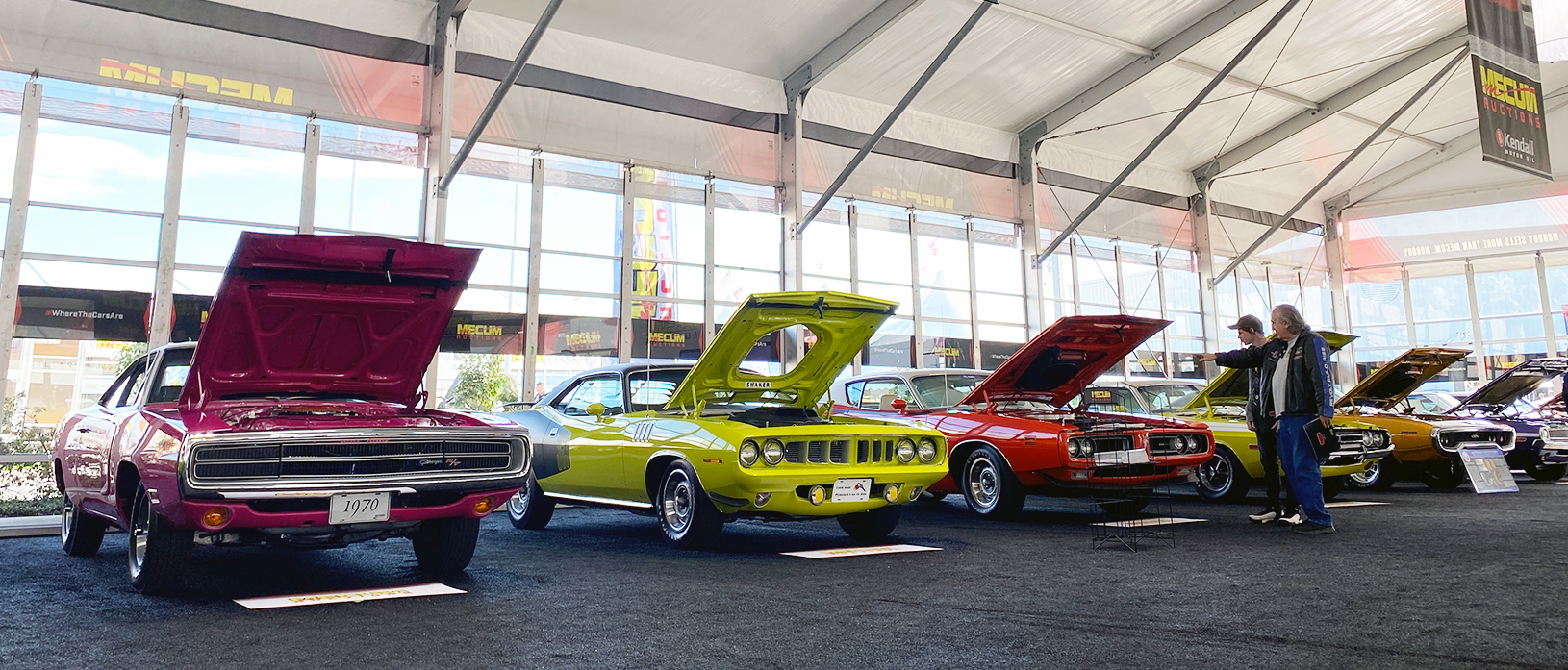 vehicles on display