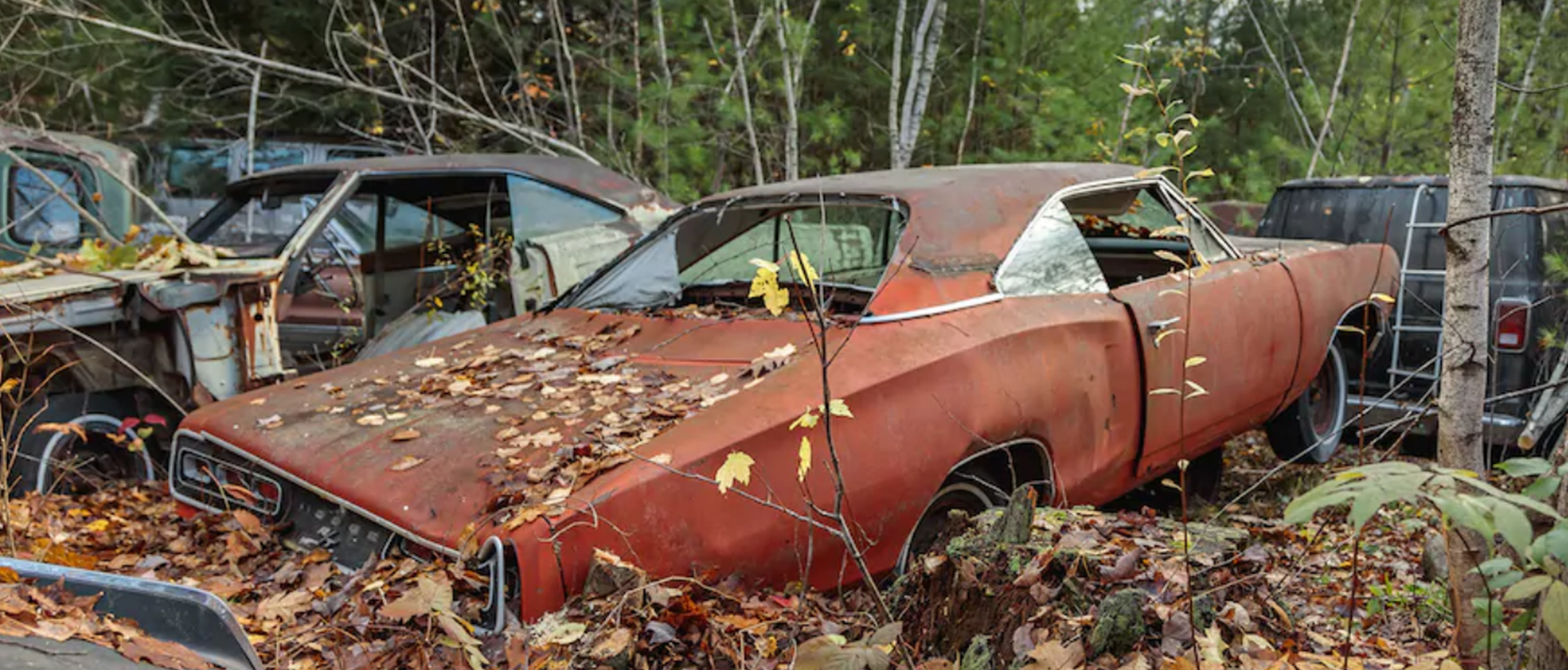 rusty vehicle in the woods