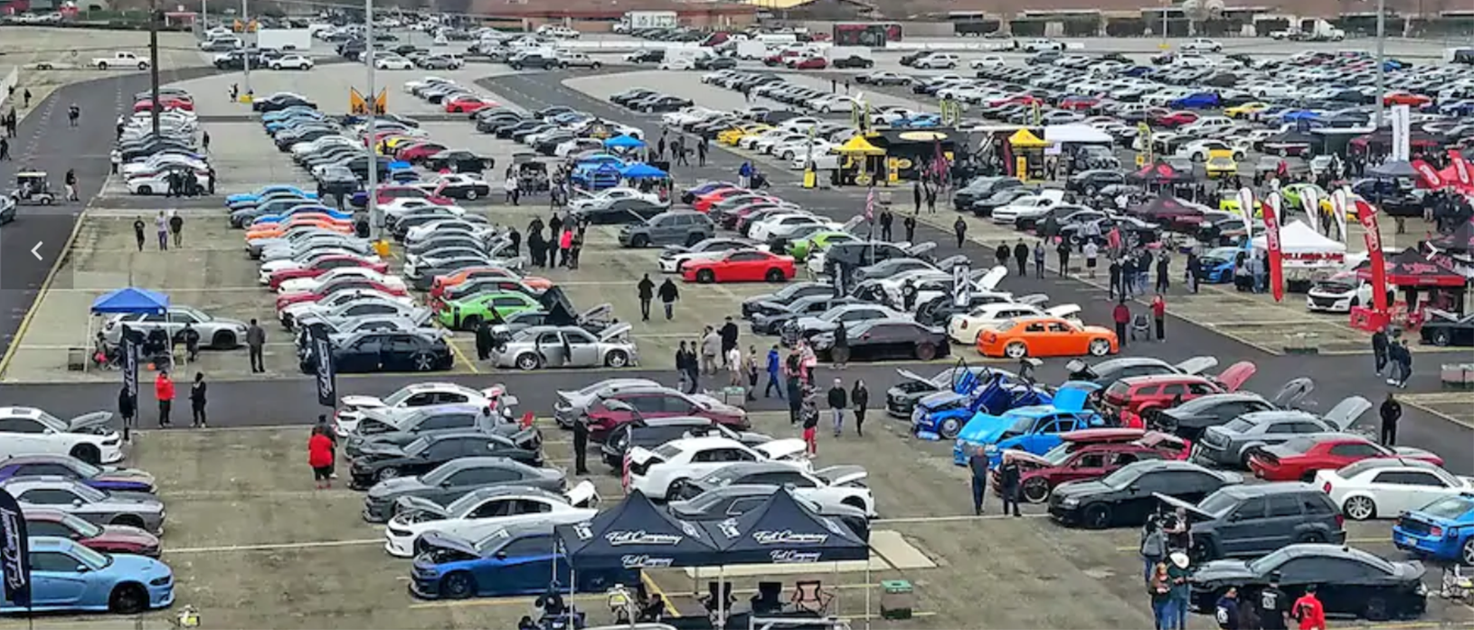 field filled with cars