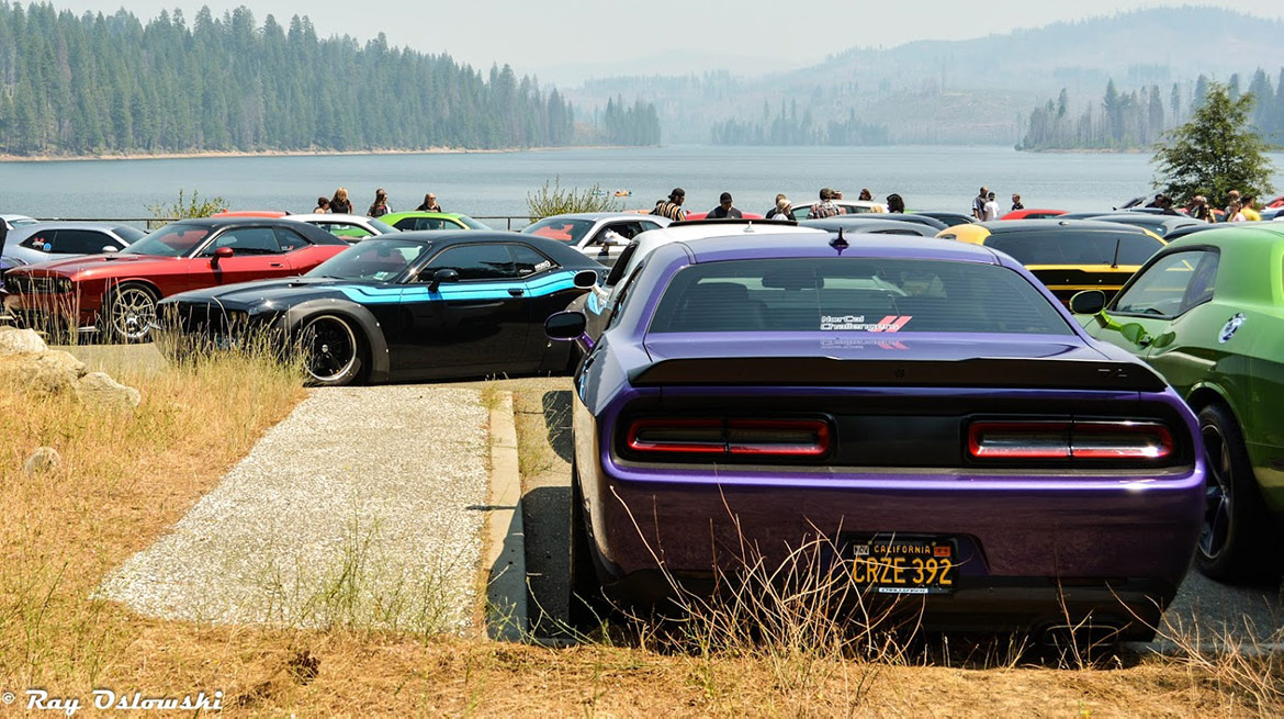 vehicles on display