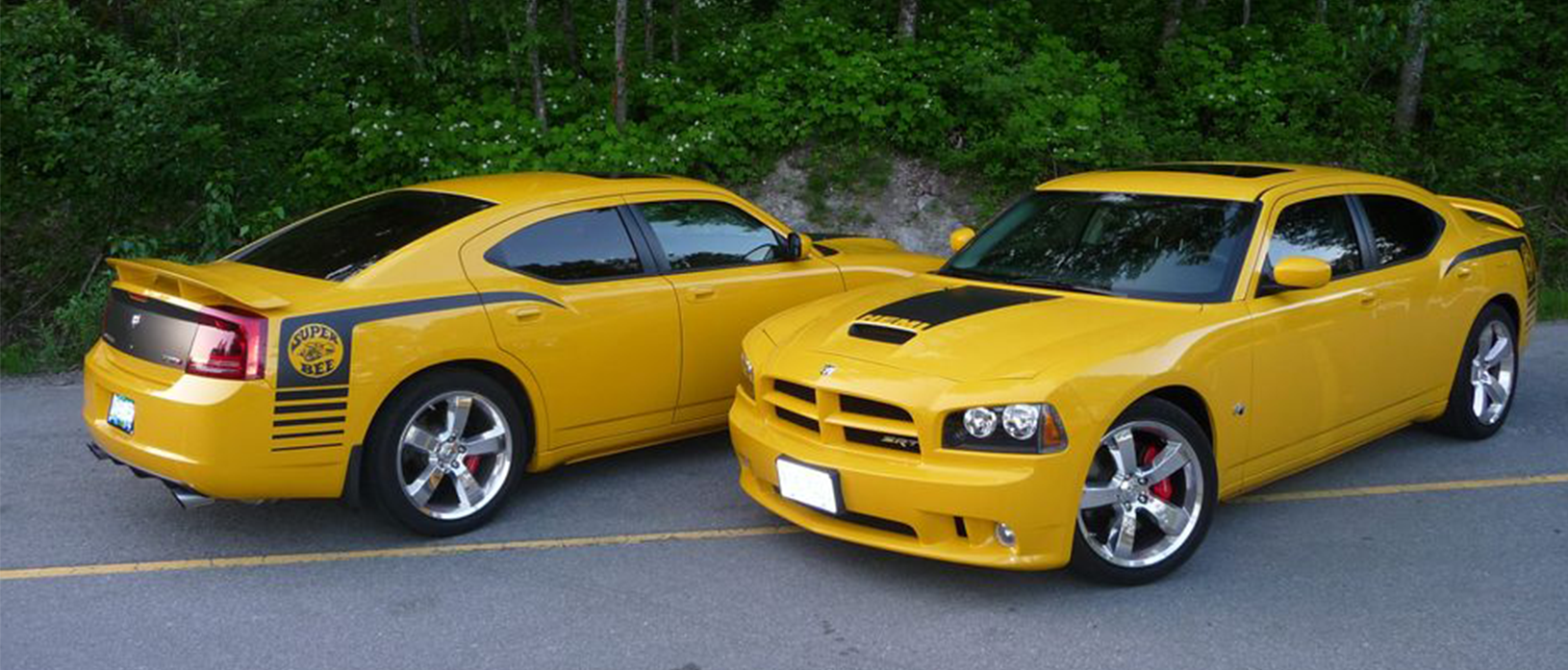 Dodge vehicles