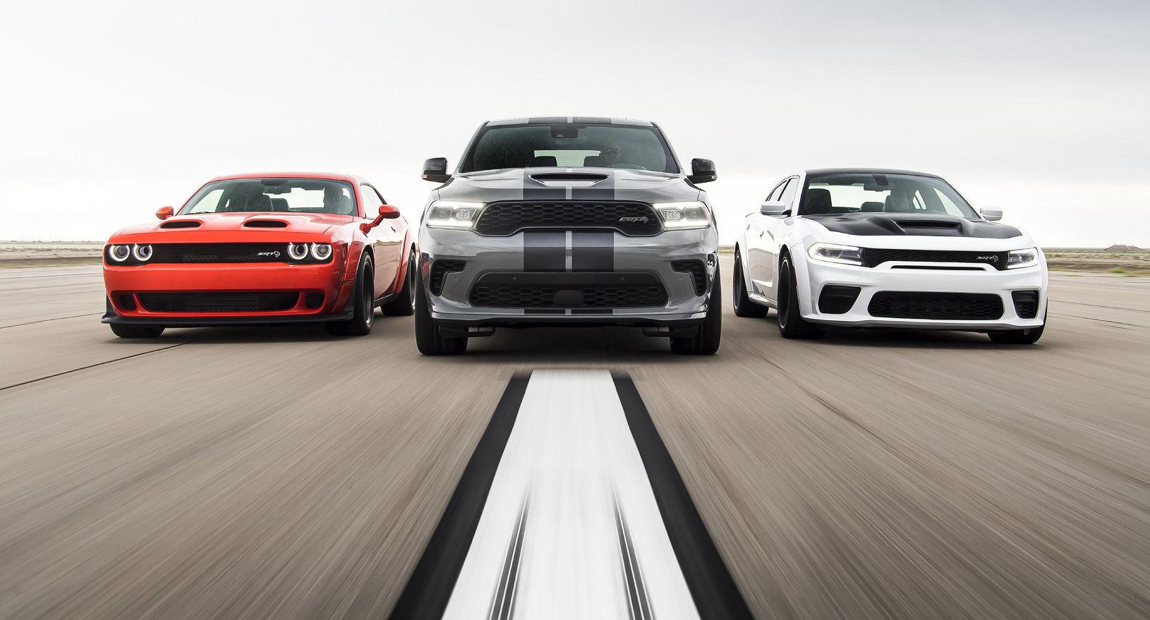 Meet The New Members of the Dodge Family