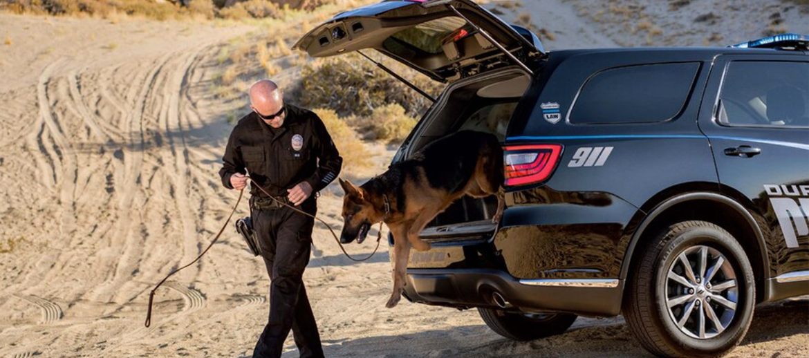 police officer and canine unit