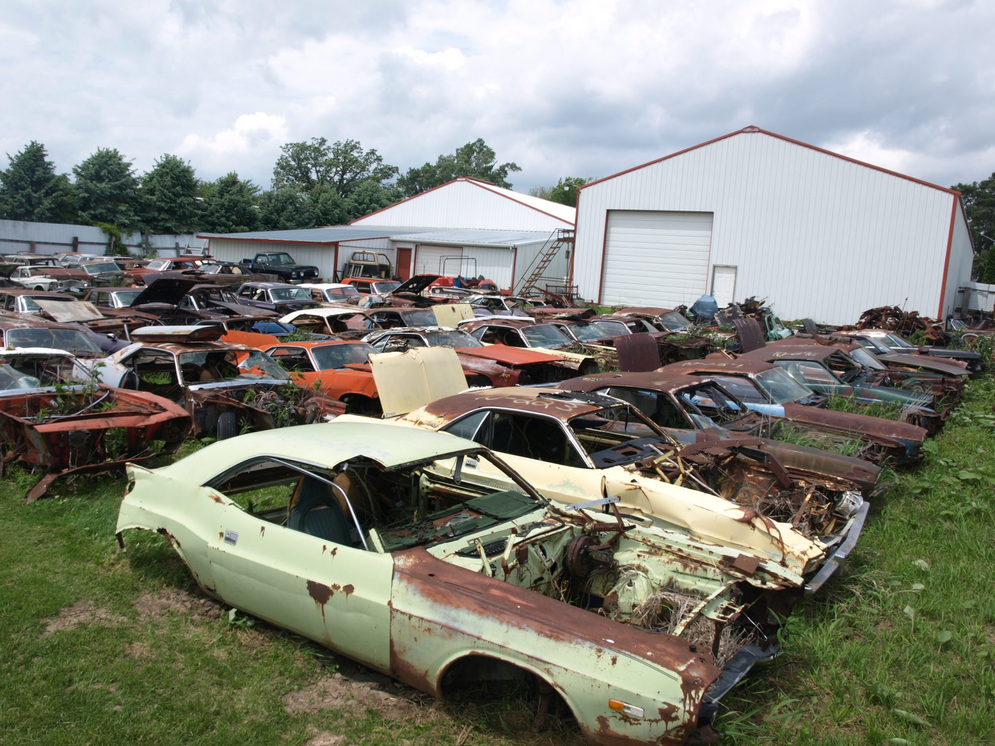 Classic Mopar vehicles sitting in a field at Mopar City