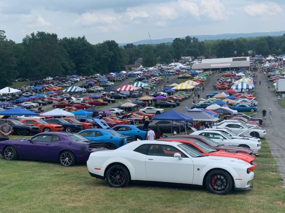 Full lot of vehicles on display