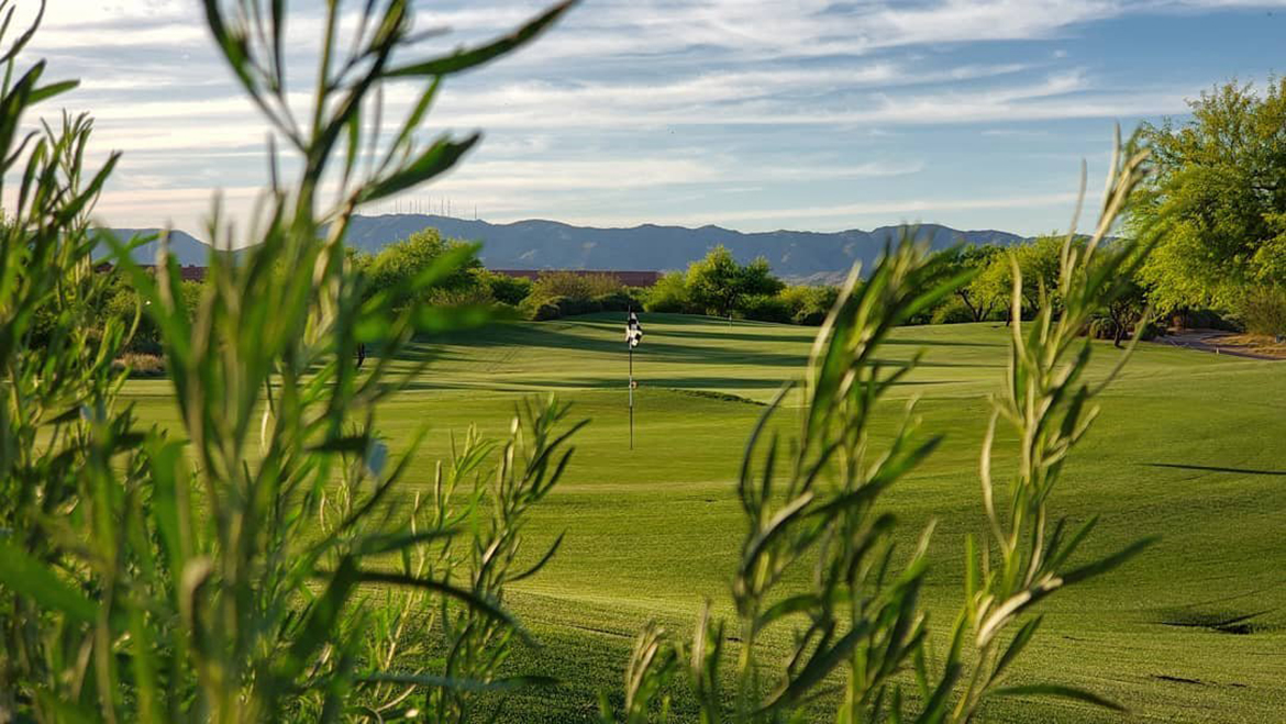 Putting green