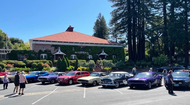 Row of cars on display