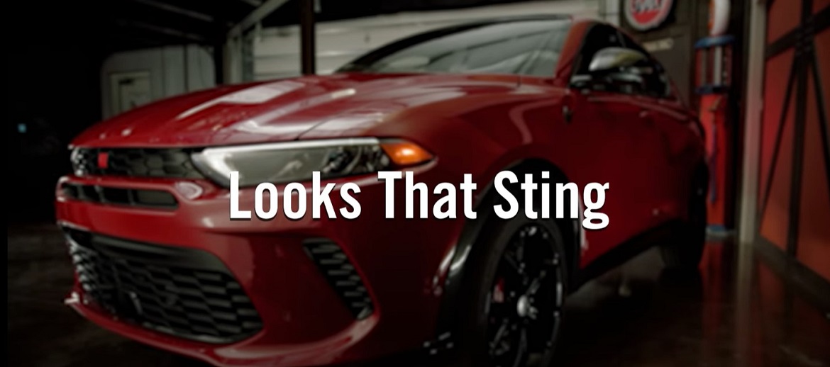 Get Stung Series: Looks That Sting