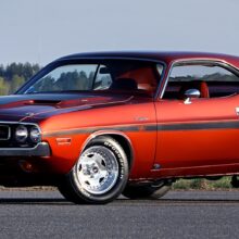 Swede Dreams in Burnt Orange